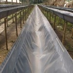 Calha plástica para substrato - Cultivo Semihidropônico 102,0 m