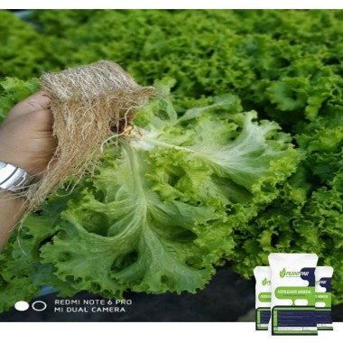 Kit Flex - Adubação pronta para folhosas 25,0 kg Kit Flex - Adubação pronta para folhosas 25,0 kg