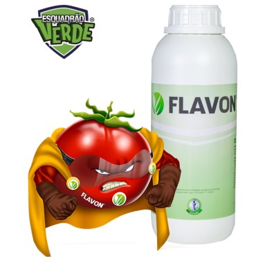 Flavon 1,0 L, extraído de chá verde Flavon 1,0 L, extraído de chá verde