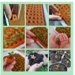 Espuma Fenólica Para Sementes Peletizadas Espuma Fenólica Para Sementes Peletizadas