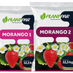 Adubo para Morango, formulação pronta  25,0 kg