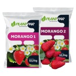 Adubo para Morango, formulação PLANTPAR  25 kg Adubo para Morango, formulação PLANTPAR  25 kg